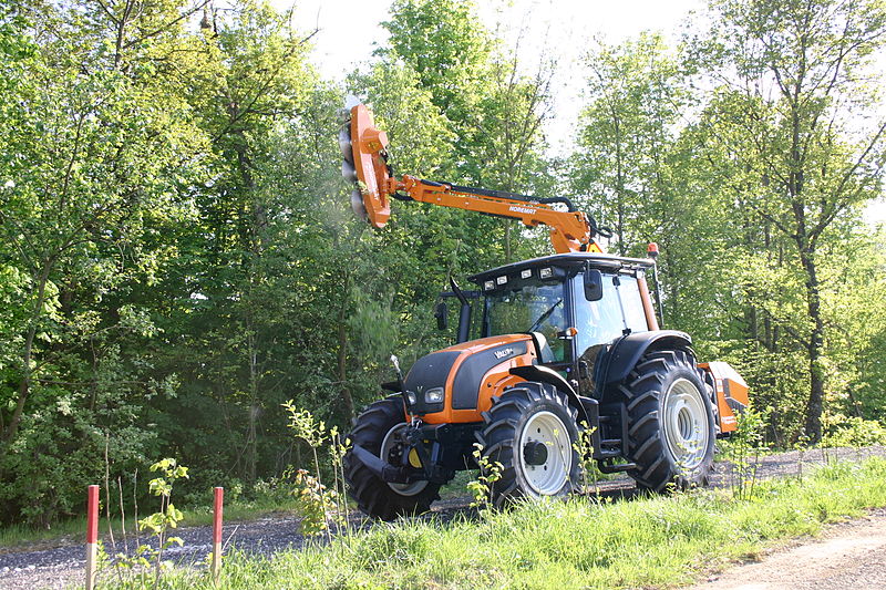 Elagage dans le 17-Abattage d'arbres-Rognage de souche
