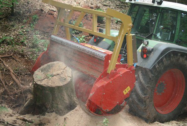 Elagage dans le 17-Abattage d'arbres-Rognage de souche