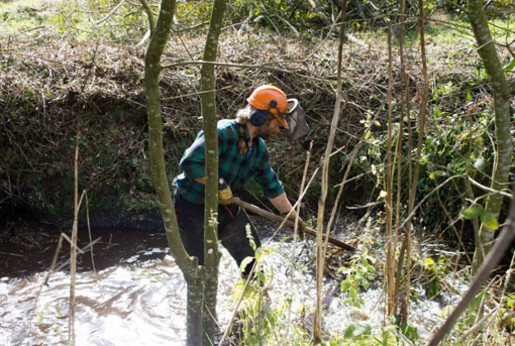 Entretien des berges dans le 17 - faucardage